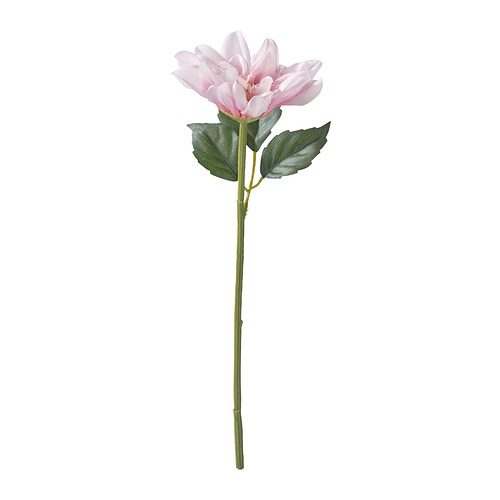 SMYCKA - 人造花, 室內/戶外用/天竺牡丹 粉紅色, 30 公分 | IKEA 線上購物 - PE960373_S4