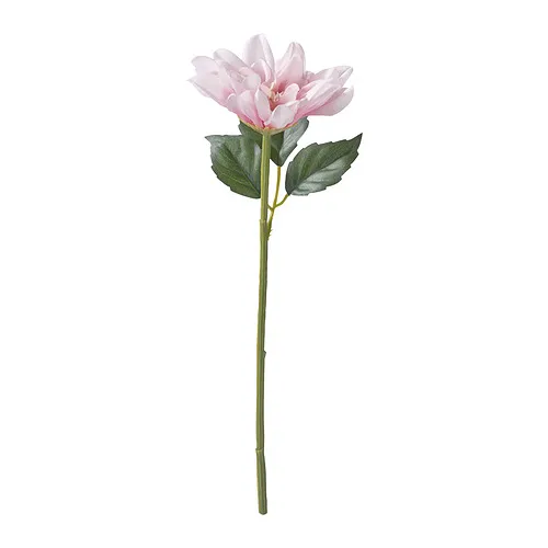 SMYCKA - artificial flower, in/outdoor/Dahlia pink, 30 cm | IKEA Taiwan Online - PE960373_S4