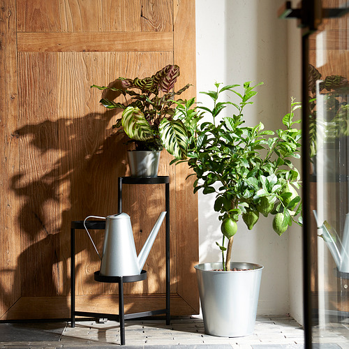 ÅKERBÄR watering can