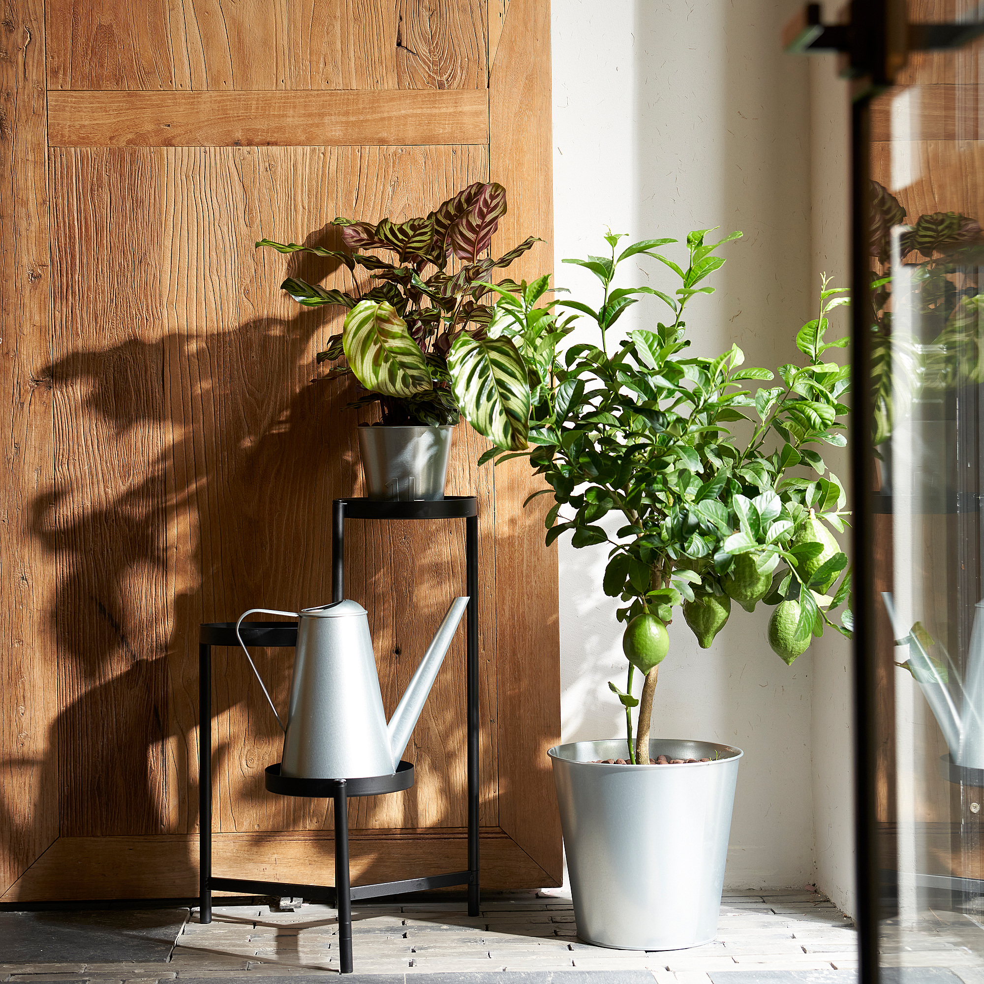 ÅKERBÄR watering can