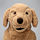 GOSIG GOLDEN - 填充玩具, 狗/黃金獵犬 70公分 | IKEA 線上購物 - PE611242_S1