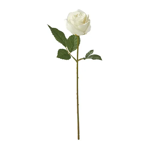 SMYCKA - artificial flower, in/outdoor/Rose white, 40 cm | IKEA Taiwan Online - PE960952_S4