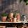 MUSKOTBLOMMA - 花盆附底盤, 室內/戶外用 赤陶土 | IKEA 線上購物 - PE857614_S1
