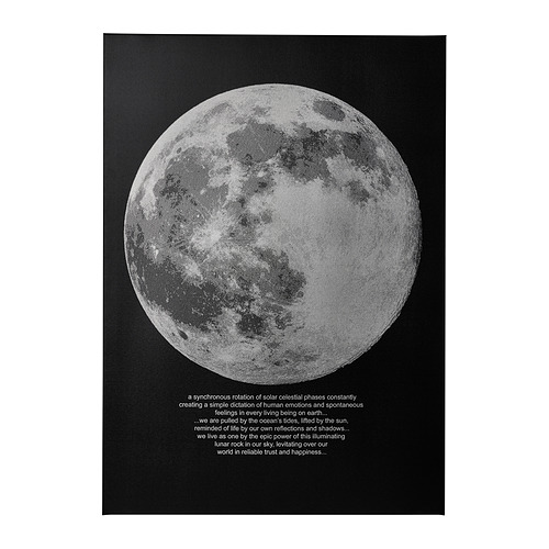 PJÄTTERYD - picture, moonlight, 50x70 cm | IKEA Taiwan Online - PE896010_S4