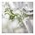 LUGNARE - scented candle in glass | IKEA Taiwan Online - PE857784_S1