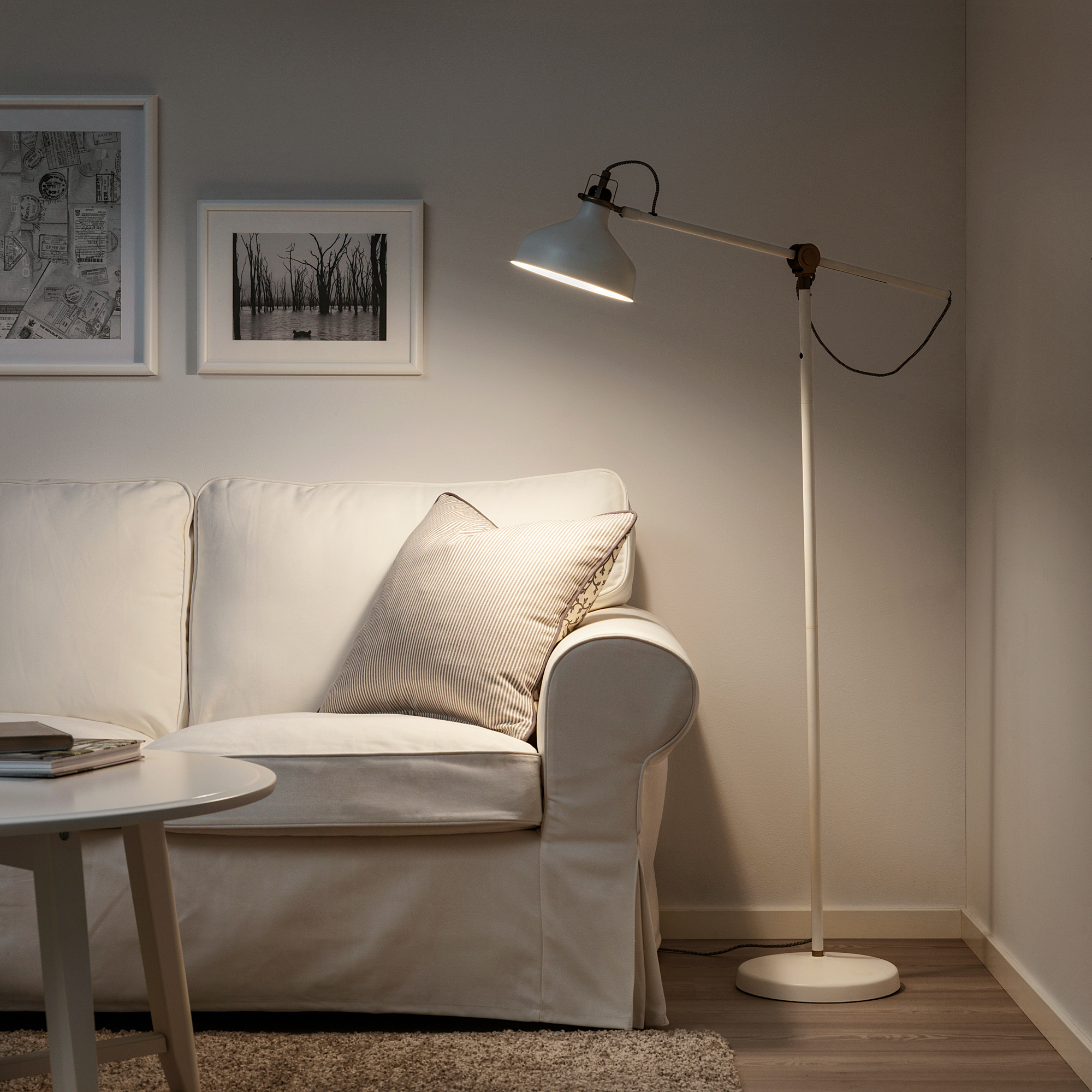 RANARP floor/reading lamp