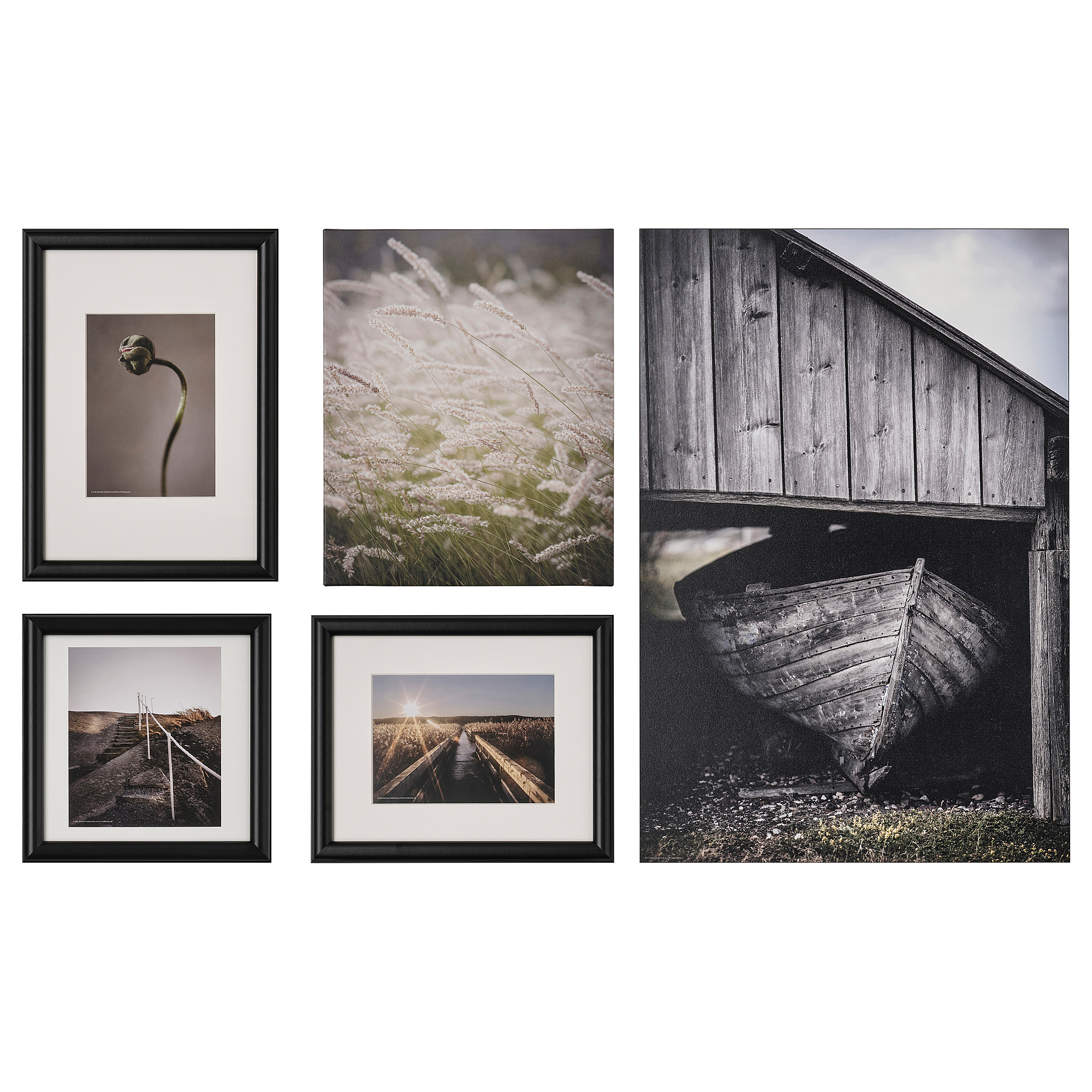 RAMHÄLL picture, set of 5