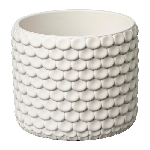 GLACIÄRBJÖRN 花盆