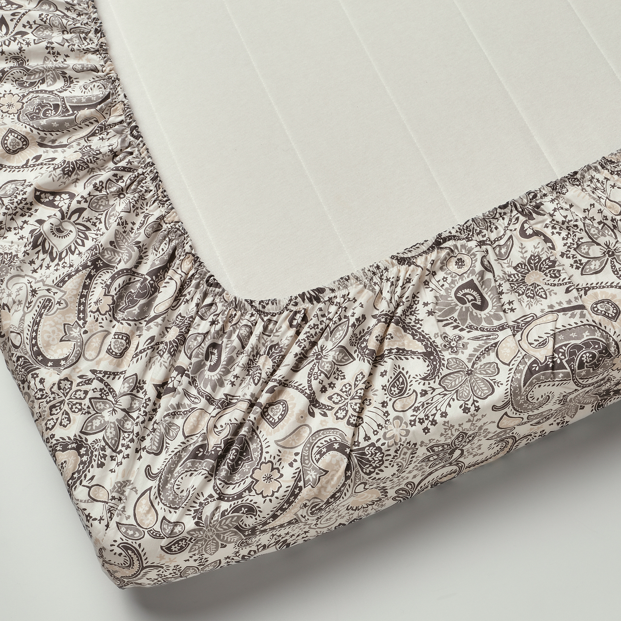 RODGERSIA fitted sheet