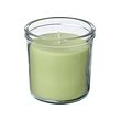 LÖVSKOGSLUND scented candle in glass