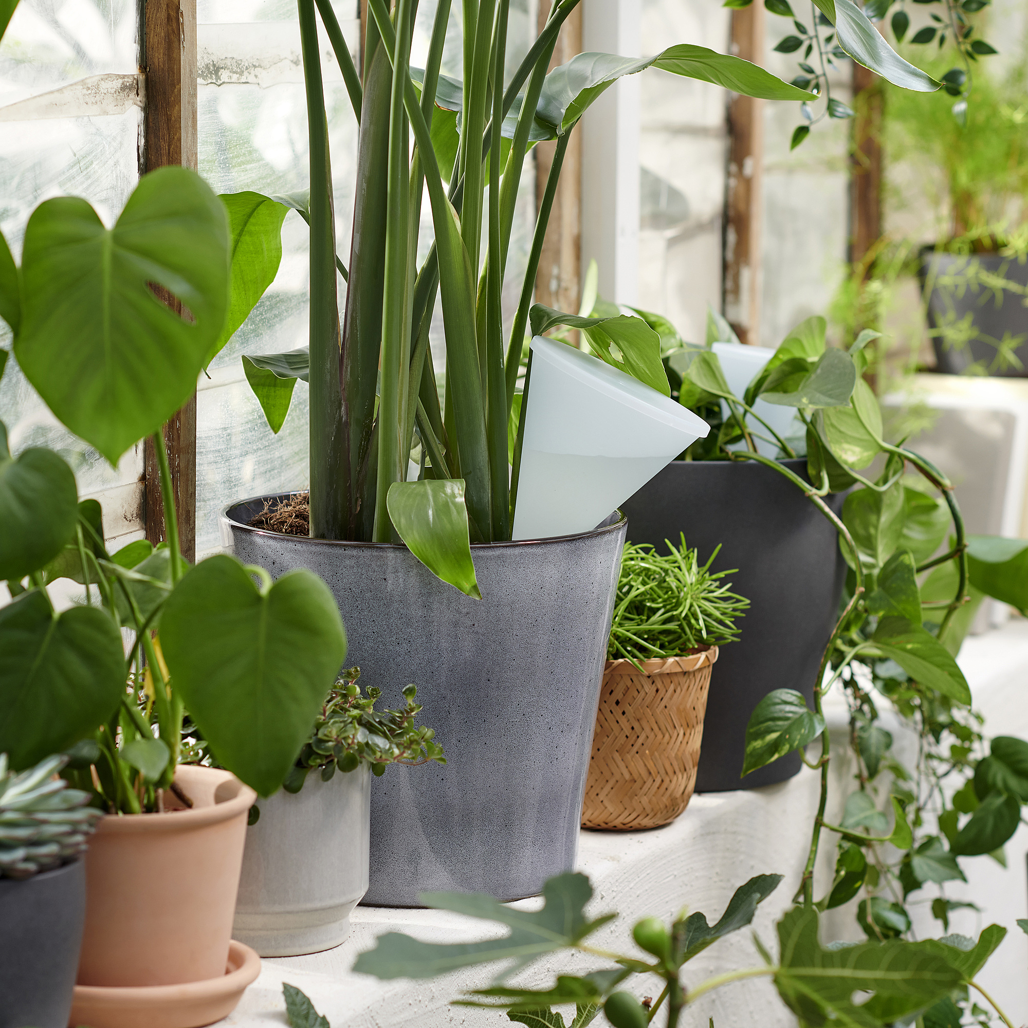 thumbnail image 2 of 12-Pack Self Watering Plant Liners For Hanging Baskets - 10x14 Inch Coconut Fiber Mats For Outdoor & Indoor Plants 2 of 6