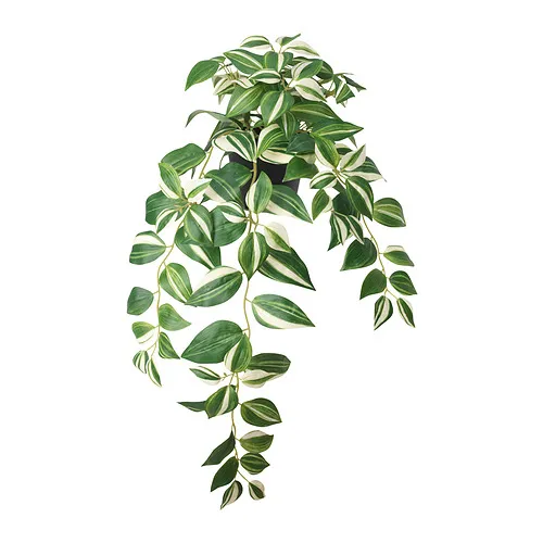 FEJKA - 人造盆栽, 室內/戶外用/巴西水竹草, 12 公分 | IKEA 線上購物 - PE898007_S4