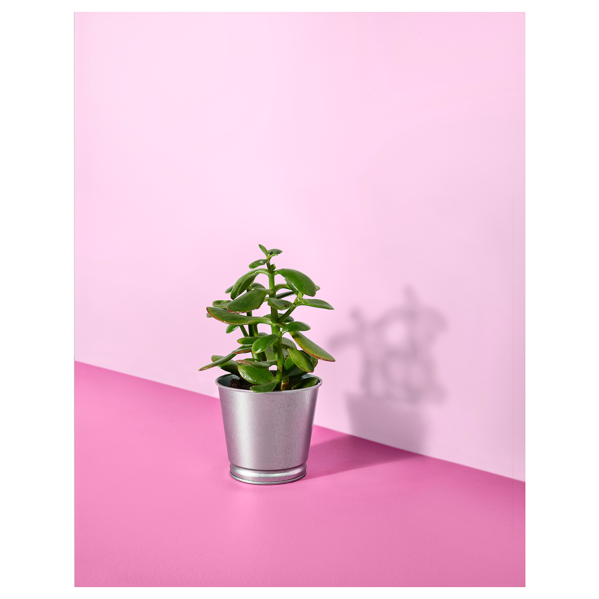 BINTJE plant pot