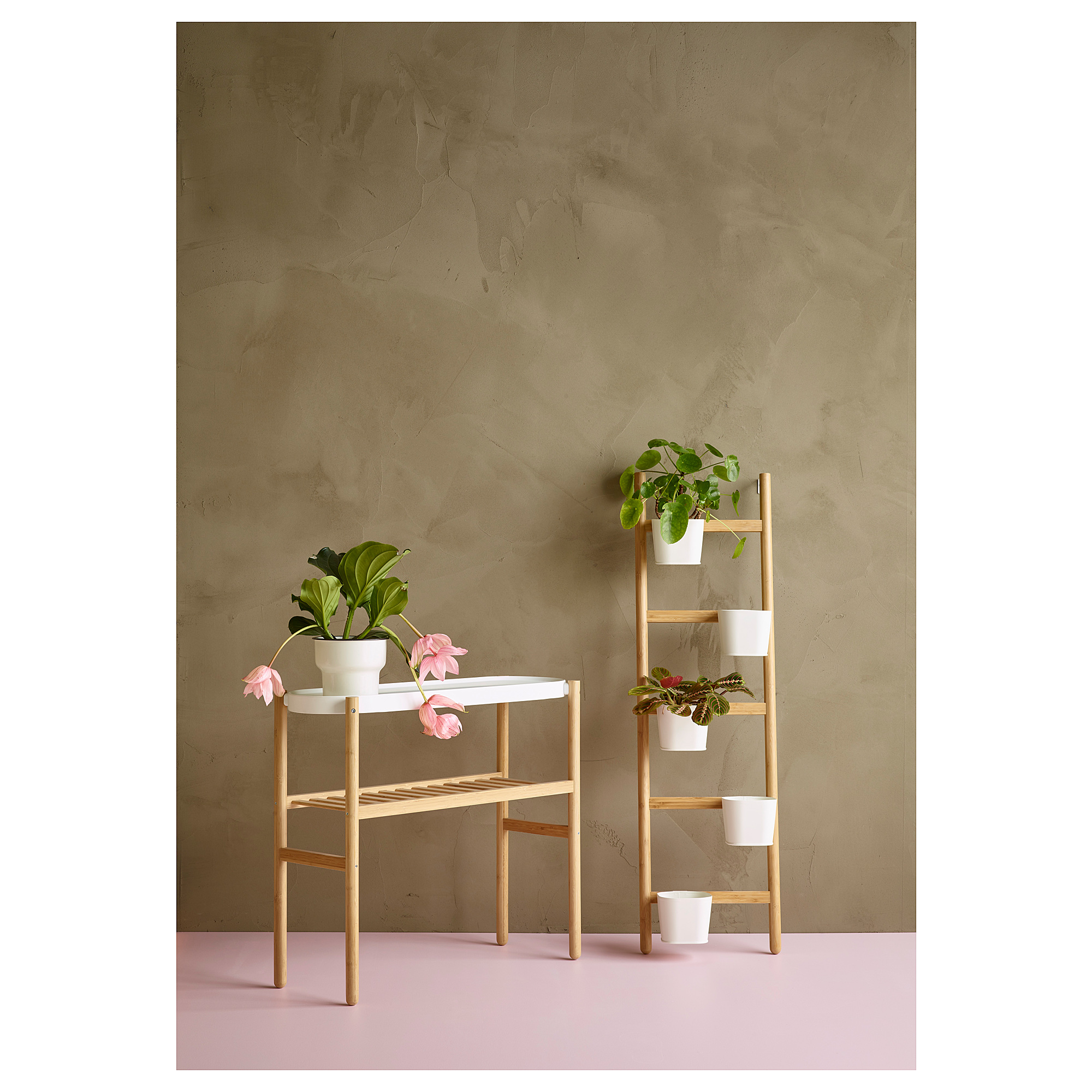 SATSUMAS plant stand