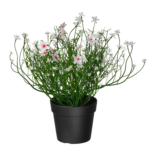FEJKA - artificial potted plant, in/outdoor/Baby’s breath white, 9 cm | IKEA Taiwan Online - E1001962_S4