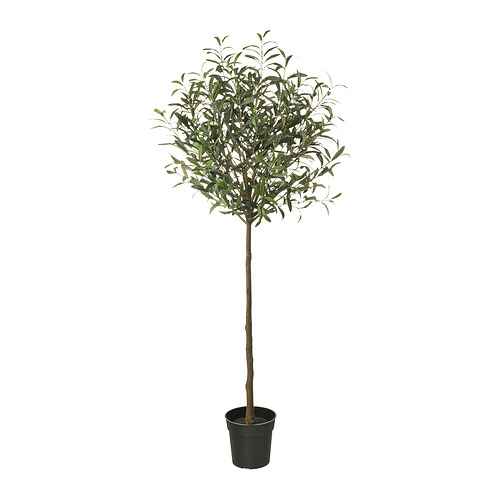 FEJKA - 人造盆栽，室內/戶外用/橄欖樹 綠色，19 公分 | IKEA 線上購物 - E1001980_S4