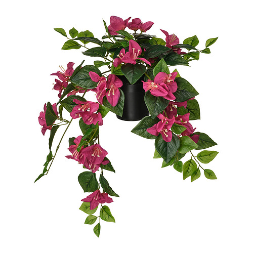 FEJKA - artificial potted plant, in/outdoor/Bouganvilla pink, 12 cm | IKEA Taiwan Online - E1001987_S4