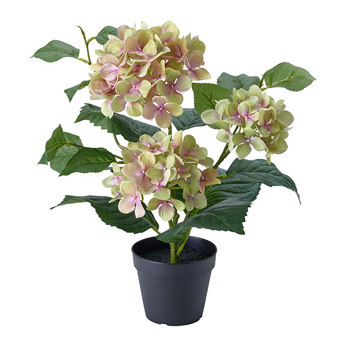 FEJKA - 人造盆栽，室內/戶外用/繡球花 白色，12 公分 | IKEA 線上購物 - E1001990_S4