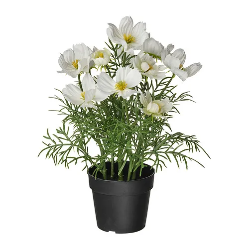 FEJKA - 人造盆栽，室內/戶外用/大波斯菊 白色，9 公分 | IKEA 線上購物 - E1001994_S4