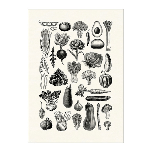 BILD - poster, various vegetables, 50x70 cm | IKEA Taiwan Online - PE963372_S4