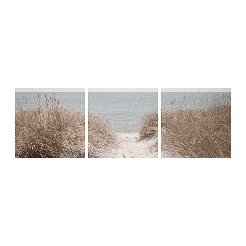 PJÄTTERYD - picture, Swedish sand dunes, 56x56 cm | IKEA Taiwan Online - PE963379_S4
