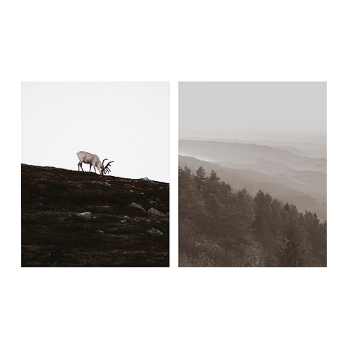 PJÄTTERYD - picture, wandering reindeer, 40x50 cm | IKEA Taiwan Online - PE933489_S4