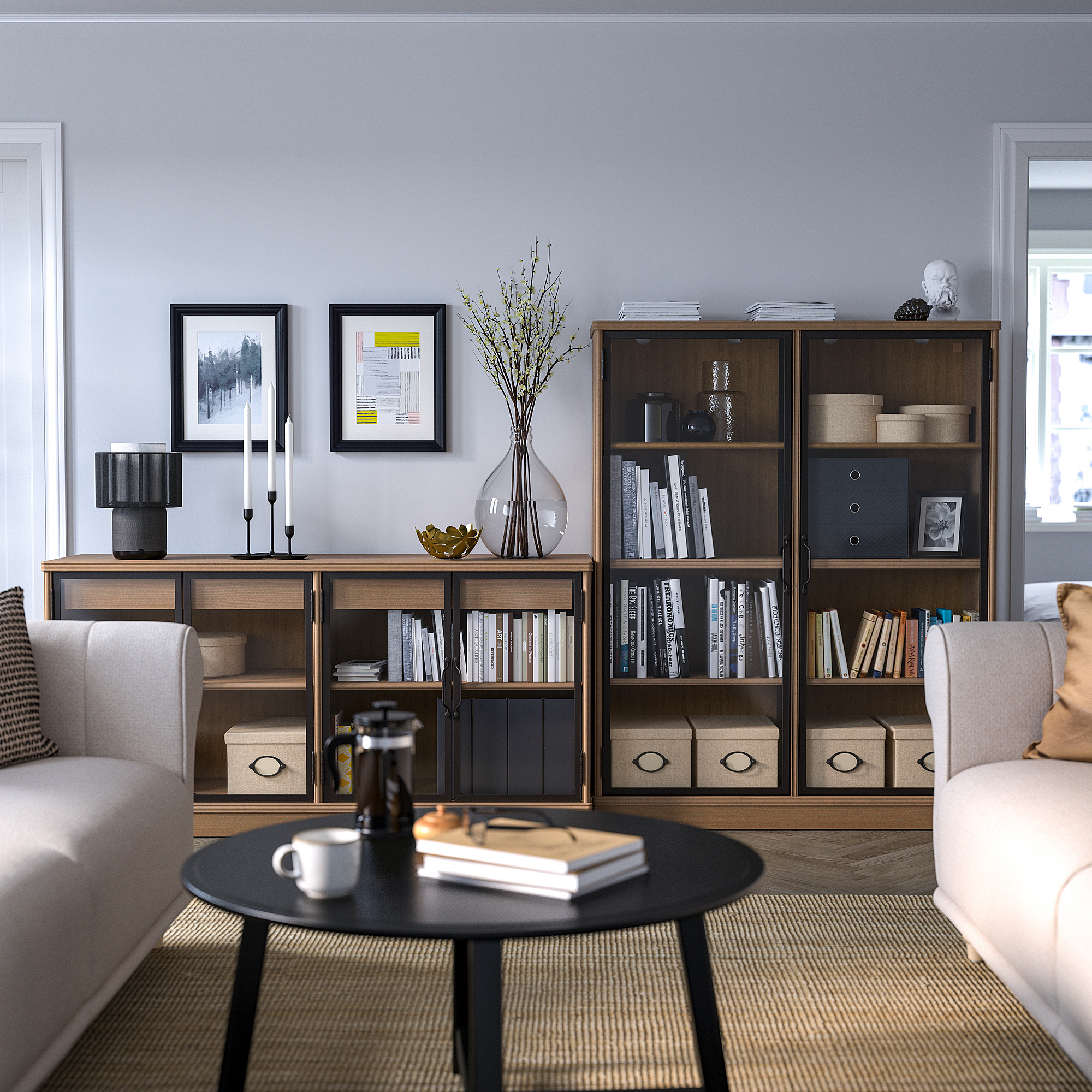 LANESUND storage combination