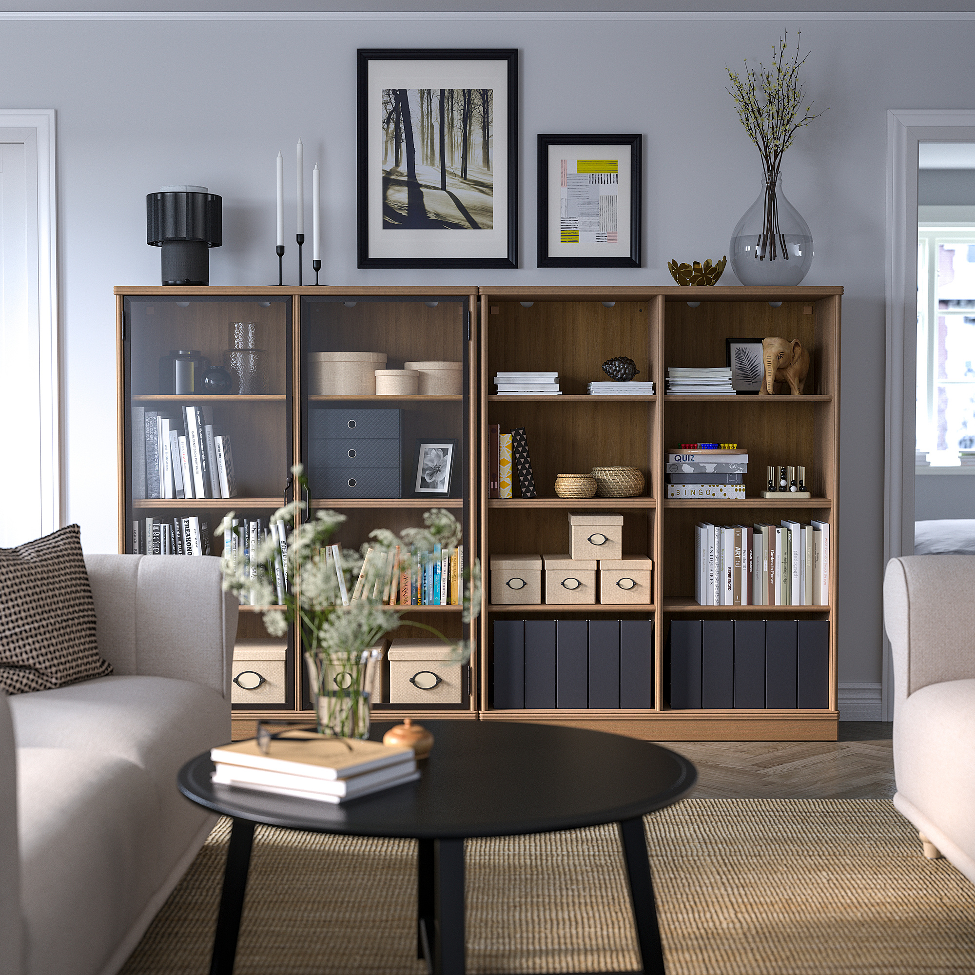 LANESUND storage combination
