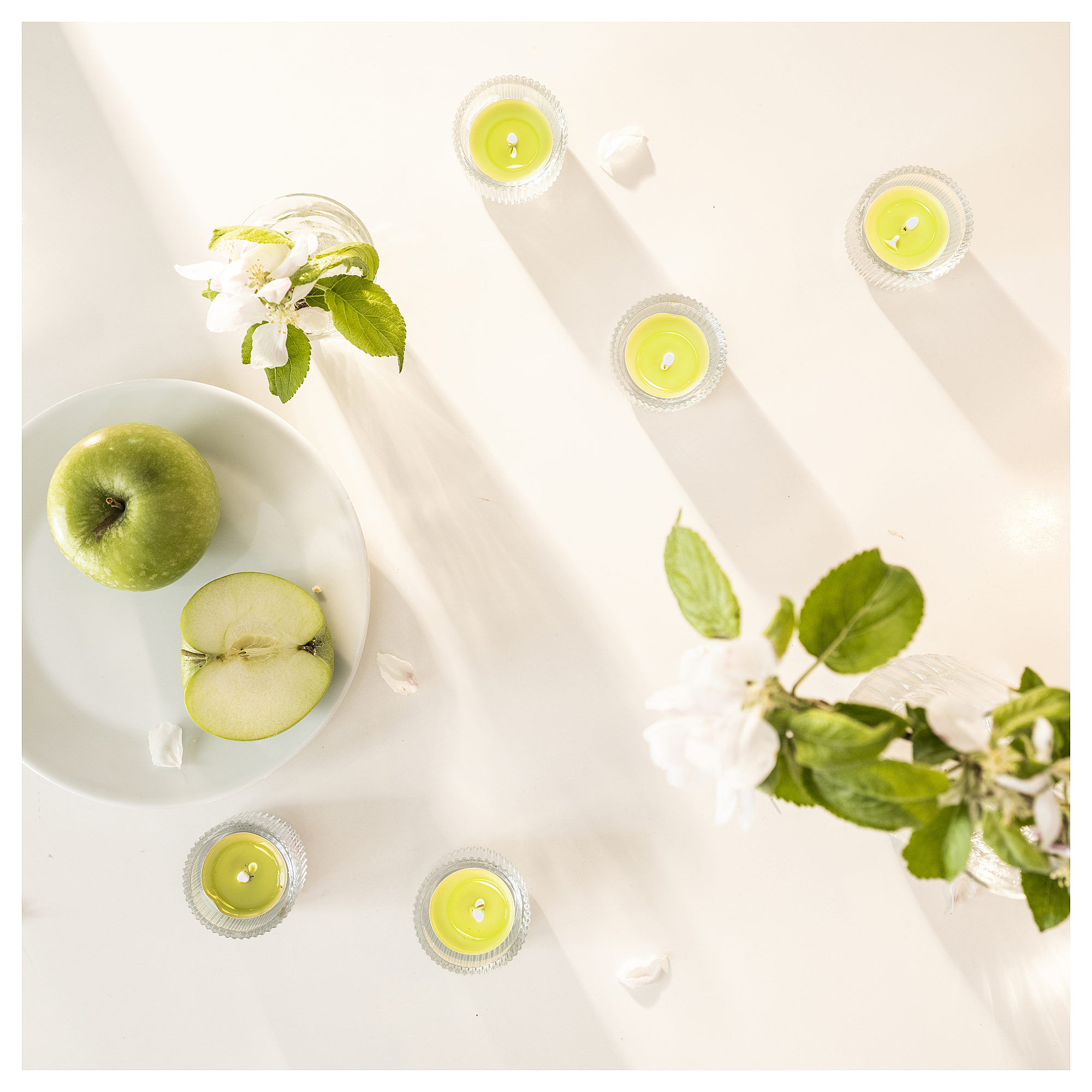 LÖVSKOGSLUND scented tealight