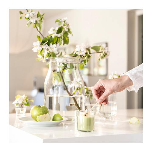 LÖVSKOGSLUND scented candle in glass