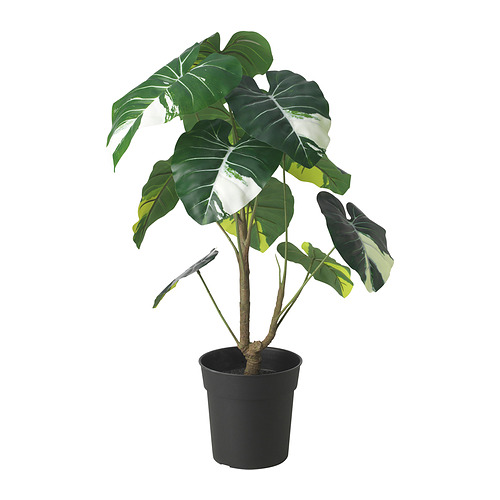 FEJKA - 人造盆栽, 室內/戶外用 瑞典盆裁植物 Alocasia, 19 公分 | IKEA 線上購物 - PE899325_S4