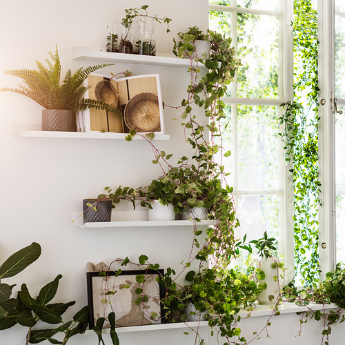 MALMBÄCK display shelf