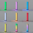 SKAFTSÄRV LED裝飾燈
