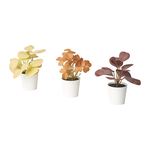 FEJKA - 人造盆栽 3件組, 室內/戶外用 葉形, 6 公分 | IKEA 線上購物 - PE934324_S4