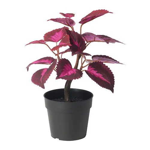FEJKA - artificial potted plant, in/outdoor Painted nettle/red, 9 cm | IKEA Taiwan Online - PE934328_S4