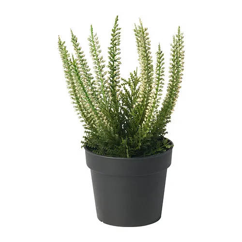 FEJKA - artificial potted plant, in/outdoor Heather, 9 cm | IKEA Taiwan Online - PE934337_S4