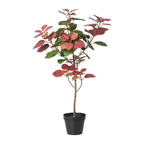FEJKA - artificial potted plant, in/outdoor smoke tree, 12 cm | IKEA Taiwan Online - PE934347_S4