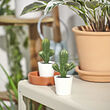 FEJKA artificial potted plant