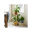 DAKSJUS plant stand