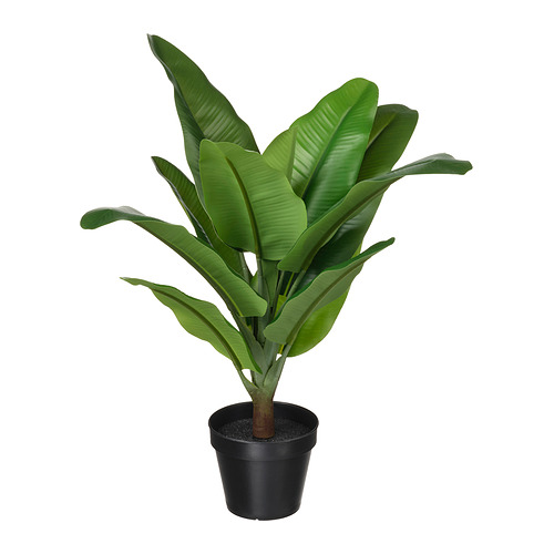 FEJKA - 人造盆栽, 室內/戶外用 香蕉樹, 12 公分 | IKEA 線上購物 - PE965311_S4