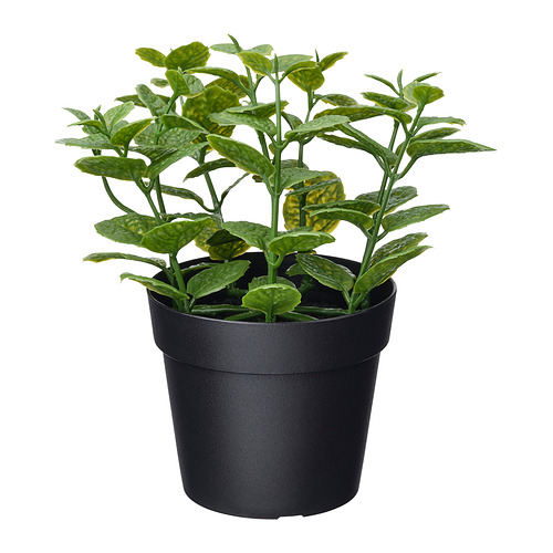 FEJKA - 人造盆栽, 室內/戶外用 薄荷, 9 公分 | IKEA 線上購物 - PE965291_S4