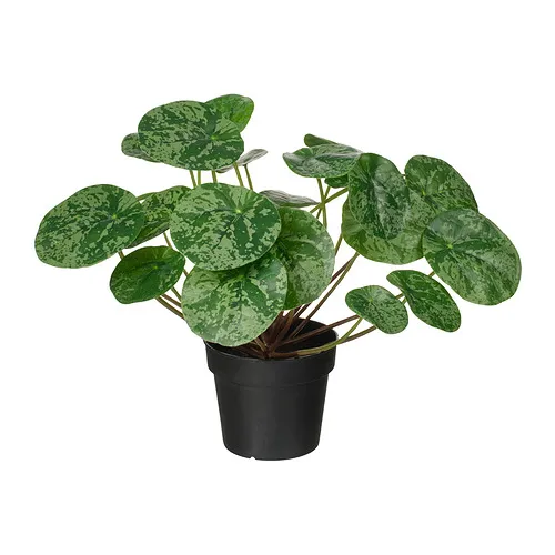 FEJKA - artificial potted plant, in/outdoor Pilea, 9 cm | IKEA Taiwan Online - PE965292_S4