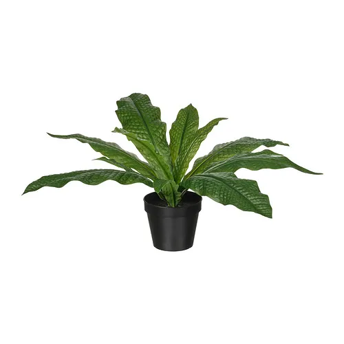 FEJKA - artificial potted plant, in/outdoor Crocodile fern, 12 cm | IKEA Taiwan Online - PE965294_S4