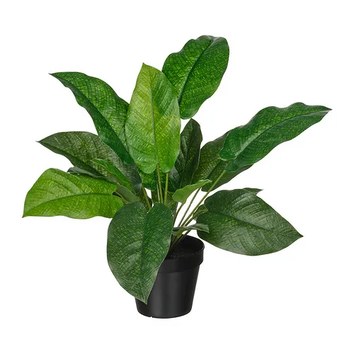 FEJKA - artificial potted plant, in/outdoor calathea, 12 cm | IKEA Taiwan Online - PE965296_S4