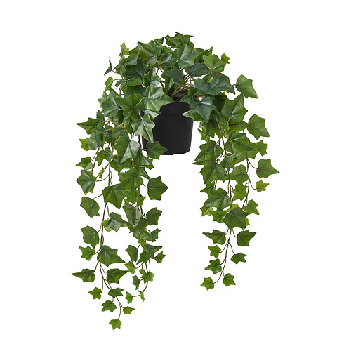 FEJKA - 人造盆栽, 室內/戶外用 眼樹蓮/常春藤, 15 公分 | IKEA 線上購物 - PE965302_S4