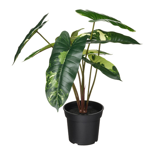 FEJKA - 人造盆栽, 室內/戶外用 蔓綠絨/綠色/白色, 15 公分 | IKEA 線上購物 - PE965305_S4