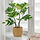FEJKA - 人造盆栽, 室內/戶外用 龜背芋 | IKEA 線上購物 - PE819190_S1