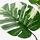FEJKA - 人造盆栽, 室內/戶外用 龜背芋 | IKEA 線上購物 - PE819191_S1
