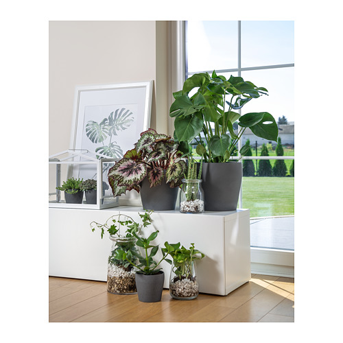 PERSILLADE plant pot