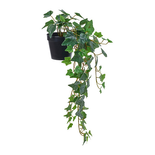 FEJKA - artificial potted plant, in/outdoor/hanging Ivy, 12 cm | IKEA Taiwan Online - E1004543_S4
